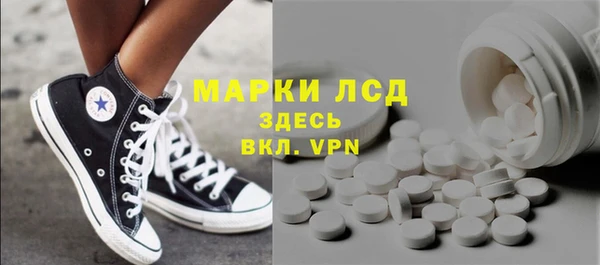 гашик Алексин