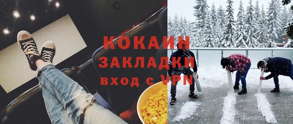 гашик Алексин