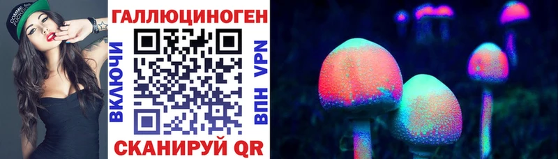 Псилоцибиновые грибы MAGIC MUSHROOMS  где купить   Камень-на-Оби 