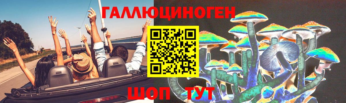 Галлюциногенные грибы Magic Shrooms  Вход с VPN  Псилоцибиновые грибы Psilocybe  Камень-на-Оби 