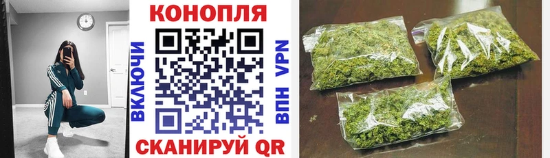 Бошки Шишки план  где найти   Камень-на-Оби 